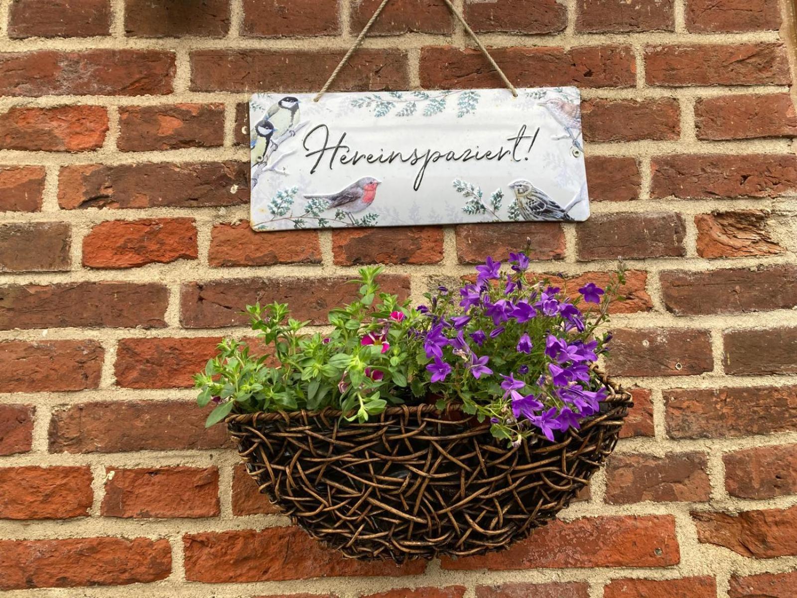 Apartment Vier Jahreszeiten Pilsum Krummhoern Exterior photo